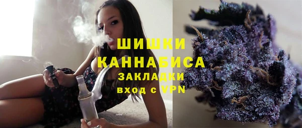 дмт Арсеньев