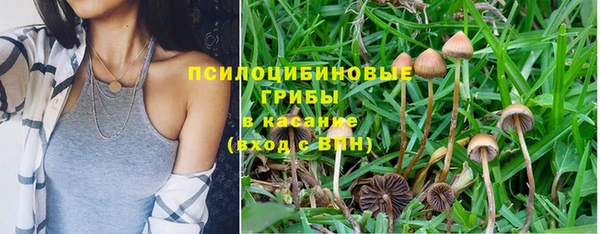 прущая мука Армянск