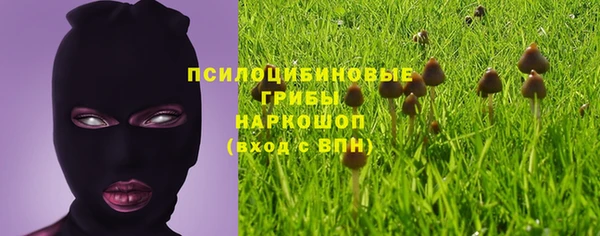 дмт Арсеньев