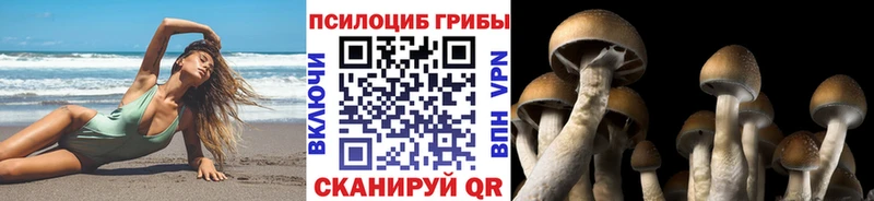 Галлюциногенные грибы GOLDEN TEACHER  Старый Крым 